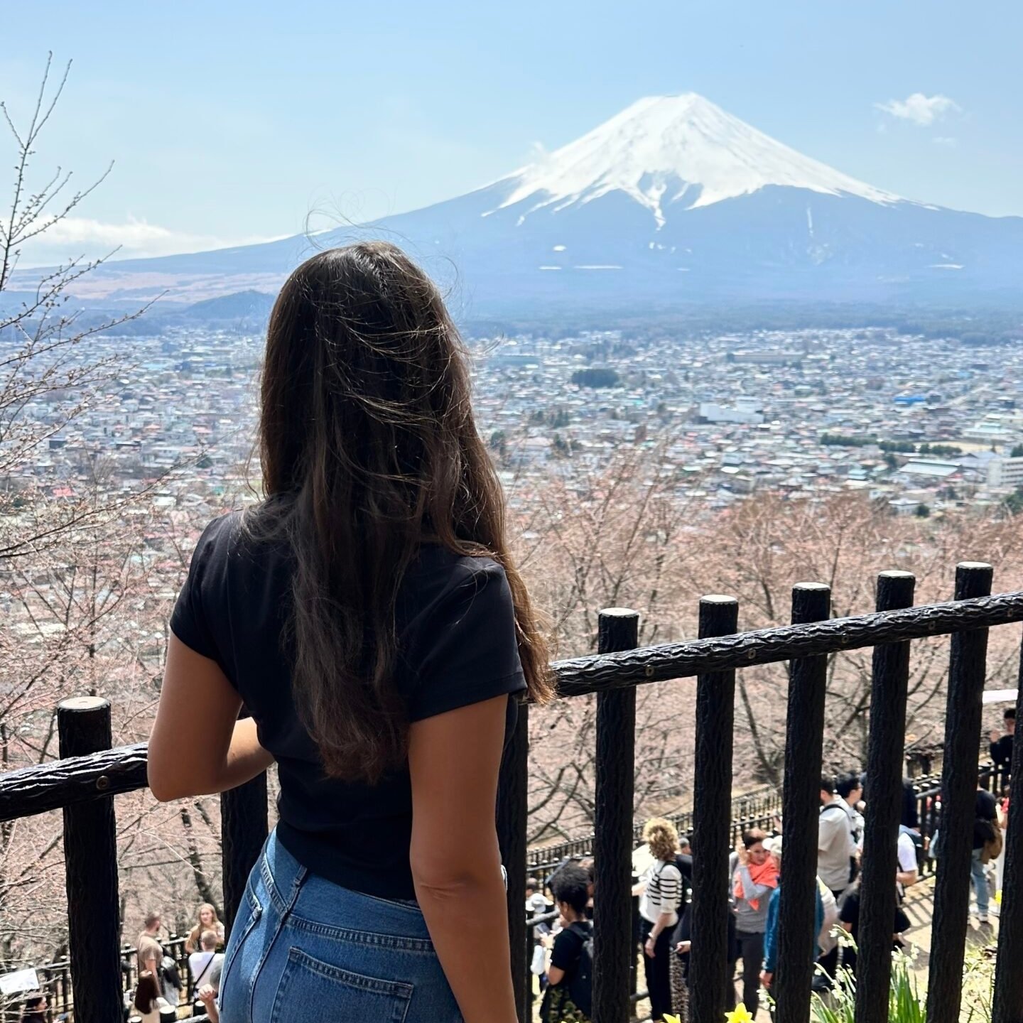 Seyir noktasından Fuji Dağı ve şehir manzarası.