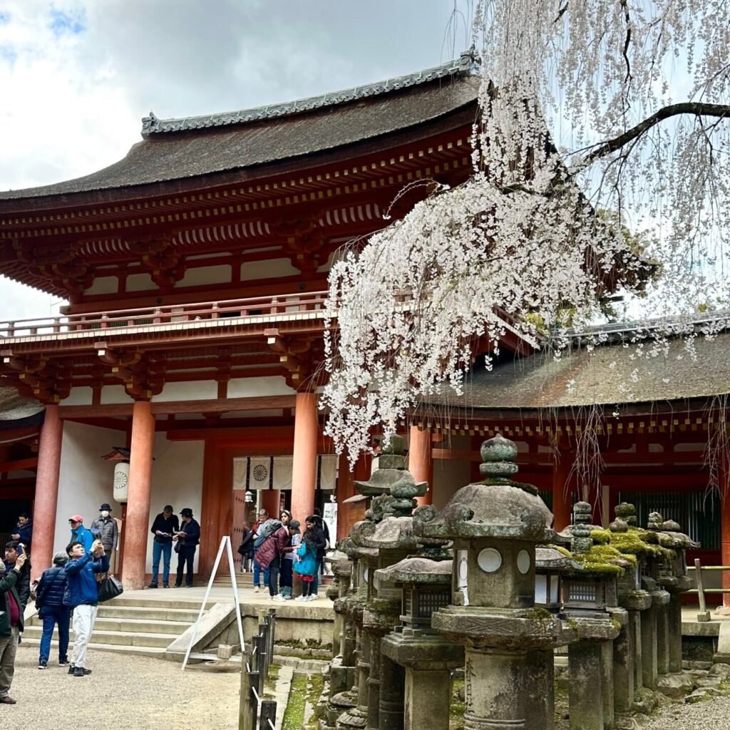 Kasuga Taisha tapınağında,Nara