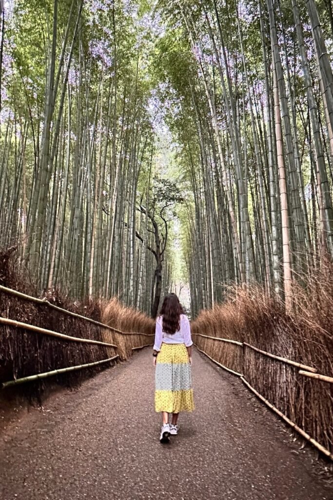 Kyoto Arashiyama’da bambu ağaçlarının yükseldiği ikonik fotoğraf noktası
