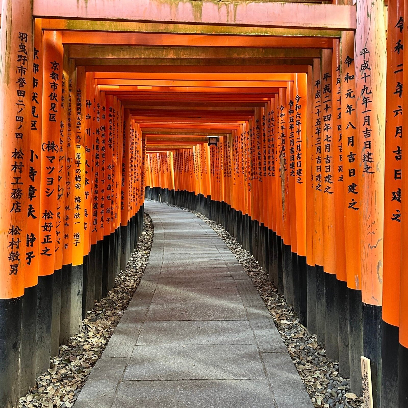 Kyoto gezi rehberi, Kyoto hakkında bilmeniz gerekenler, Japonya