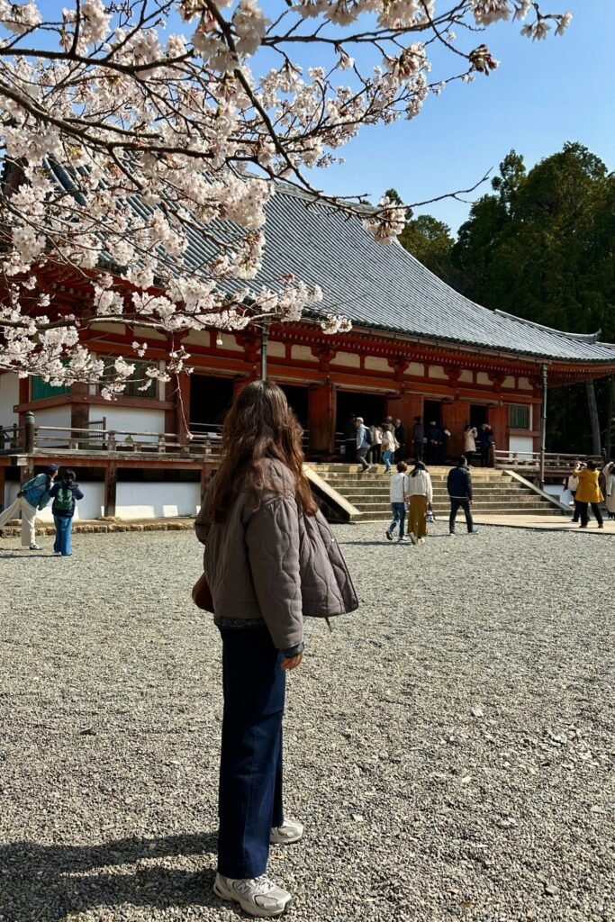 Sakura ağaçlarıyla tapınaklar ve manzaraları Kyoto
