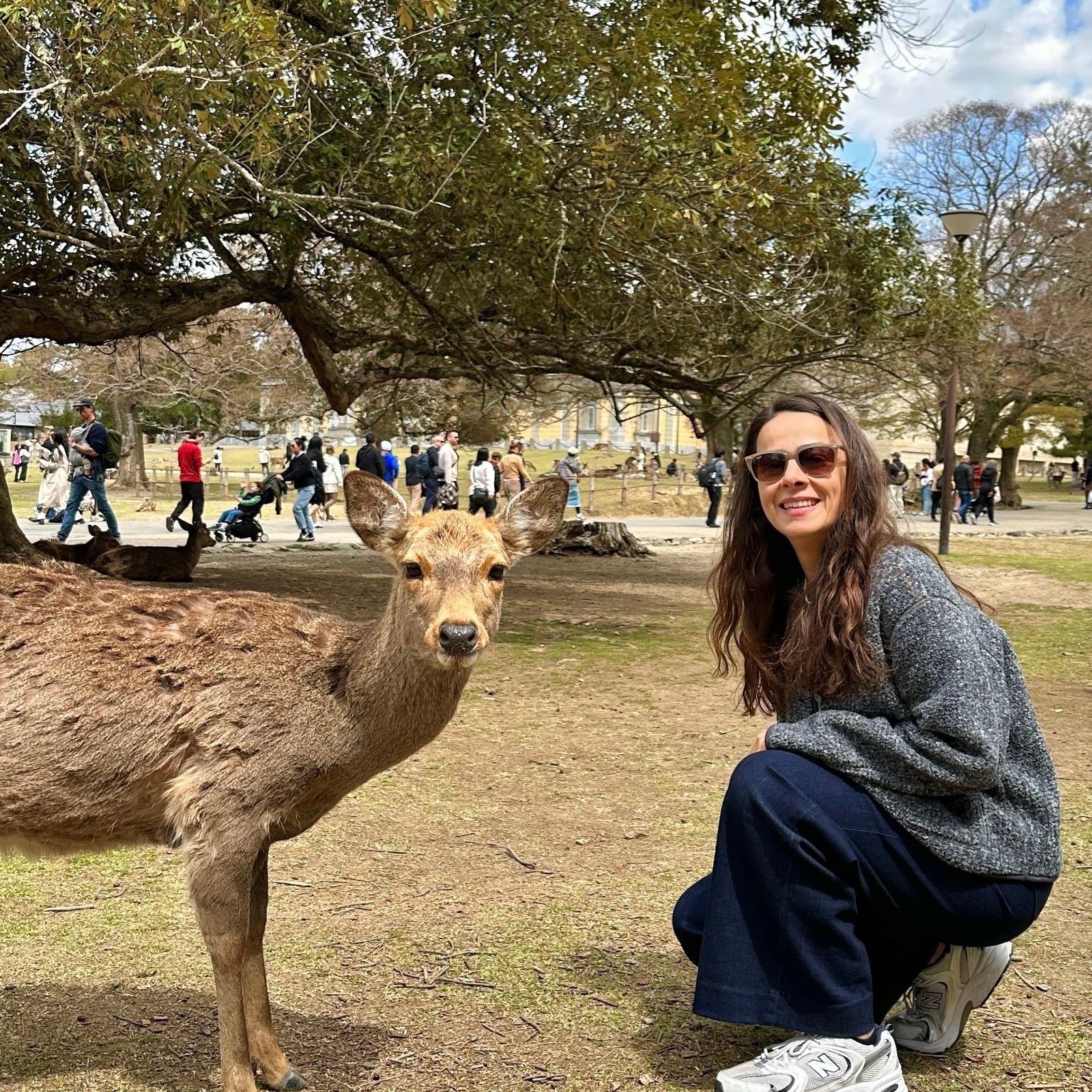 Nara gezi rehberi, Nara hakkında bilmeniz gerekenler, Japonya