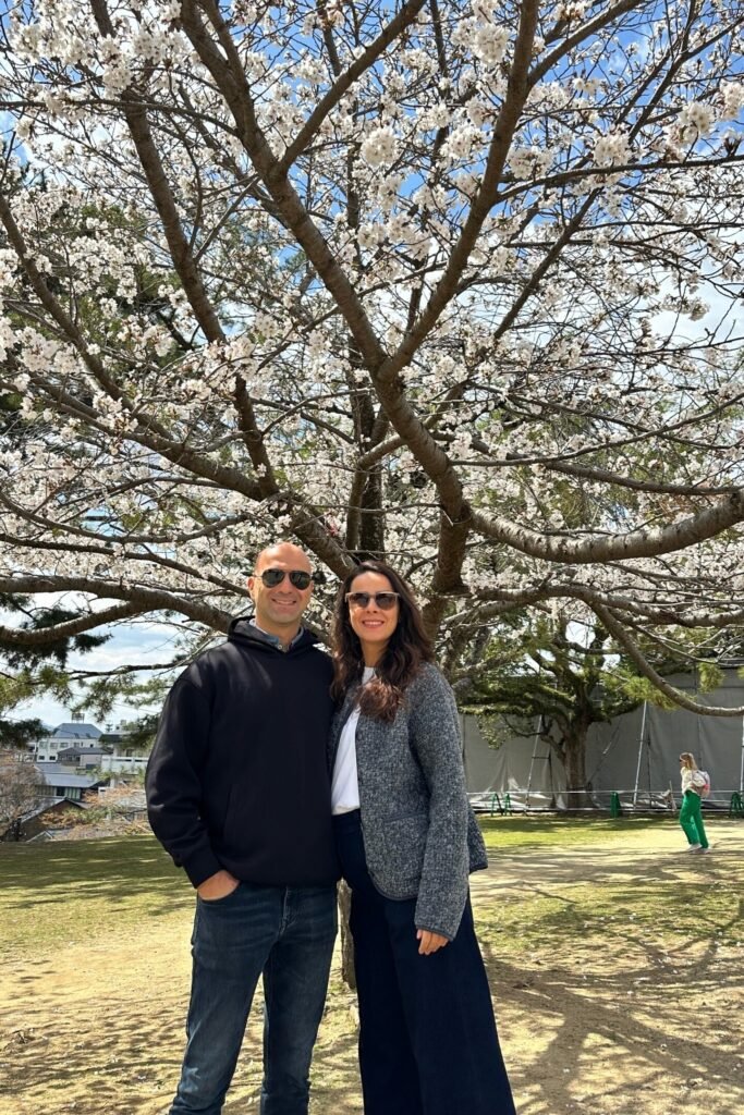 Nara Kofukuji tapınak bahçesi kiraz çiçekleri manzarası