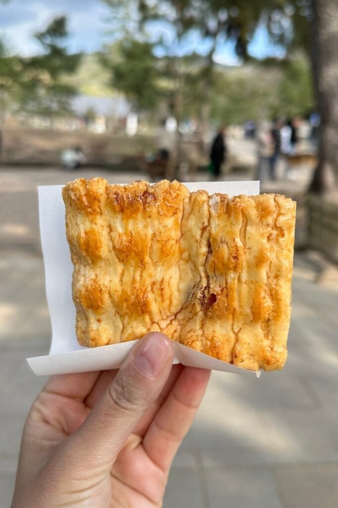 Nara sokak lezzeti atıştırmalık, Japonya