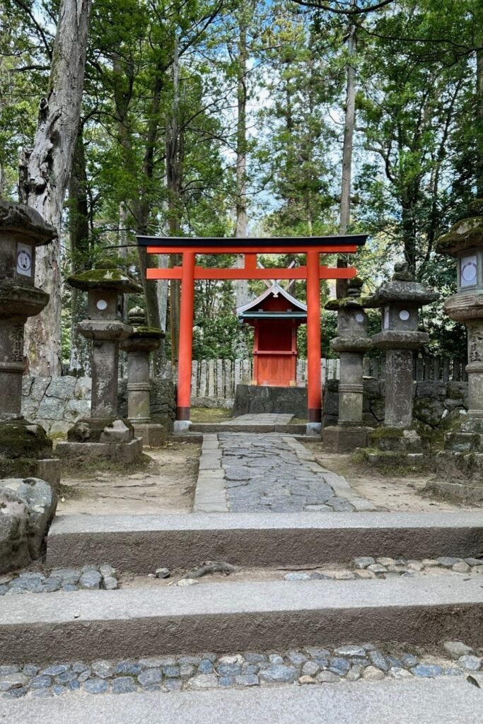 Nara tapınak yollarında yürürken çekilmiş huzurlu fotoğraflar