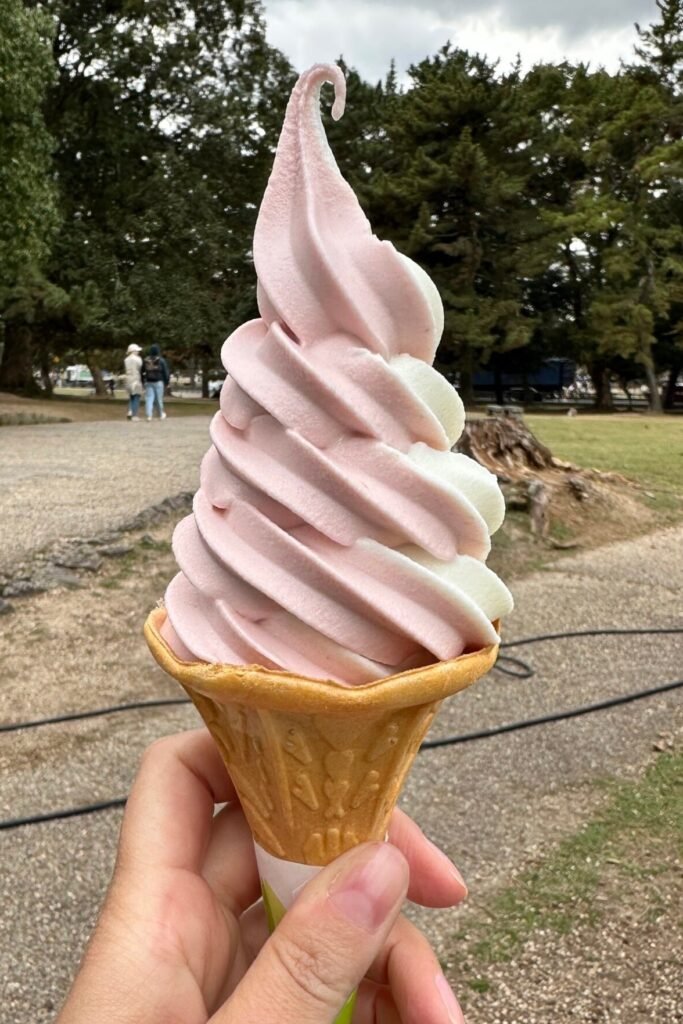 Nara’da denediğimiz Japon lezzetleri, gezi rehberi için yemek fotoğrafı
