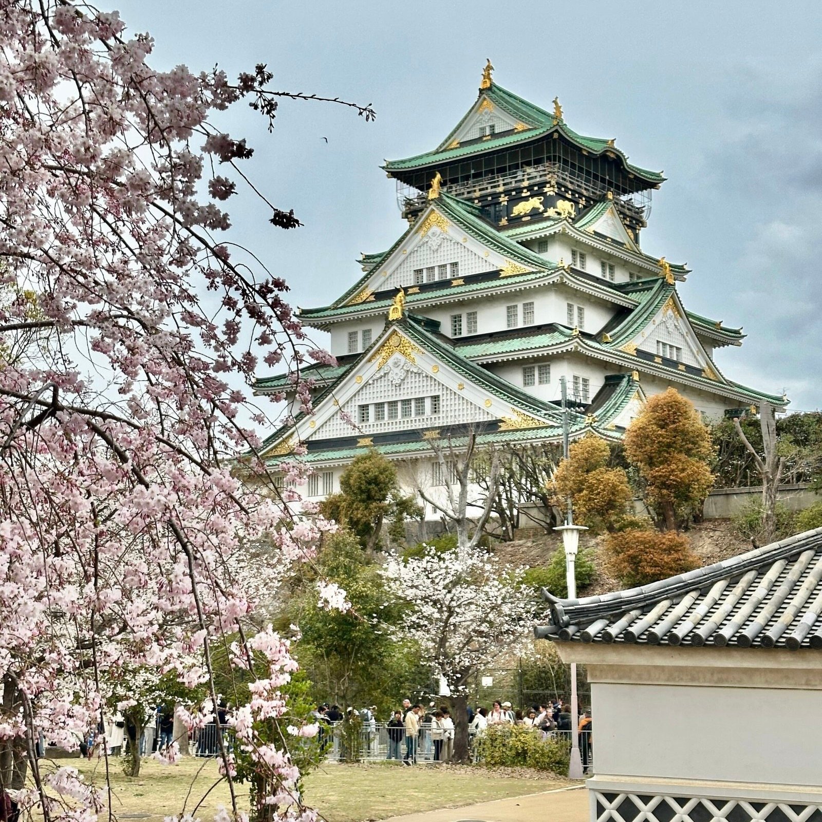 Osaka Gezi Rehberi Japonya