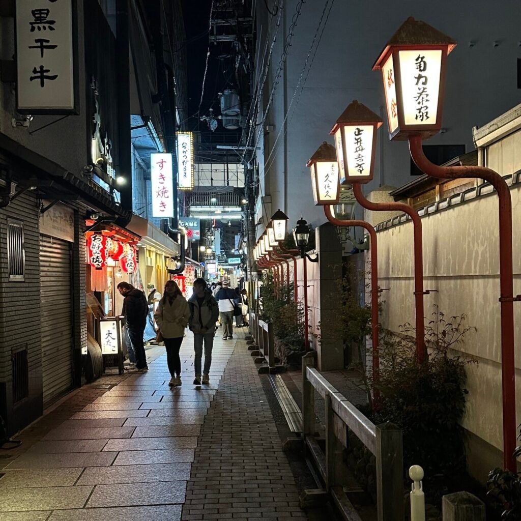 Japonya’da gece hayatı ve sokak düzeni, Hozenji Yokocho sokağında taş döşeli dar geçit ve geleneksel fenerler