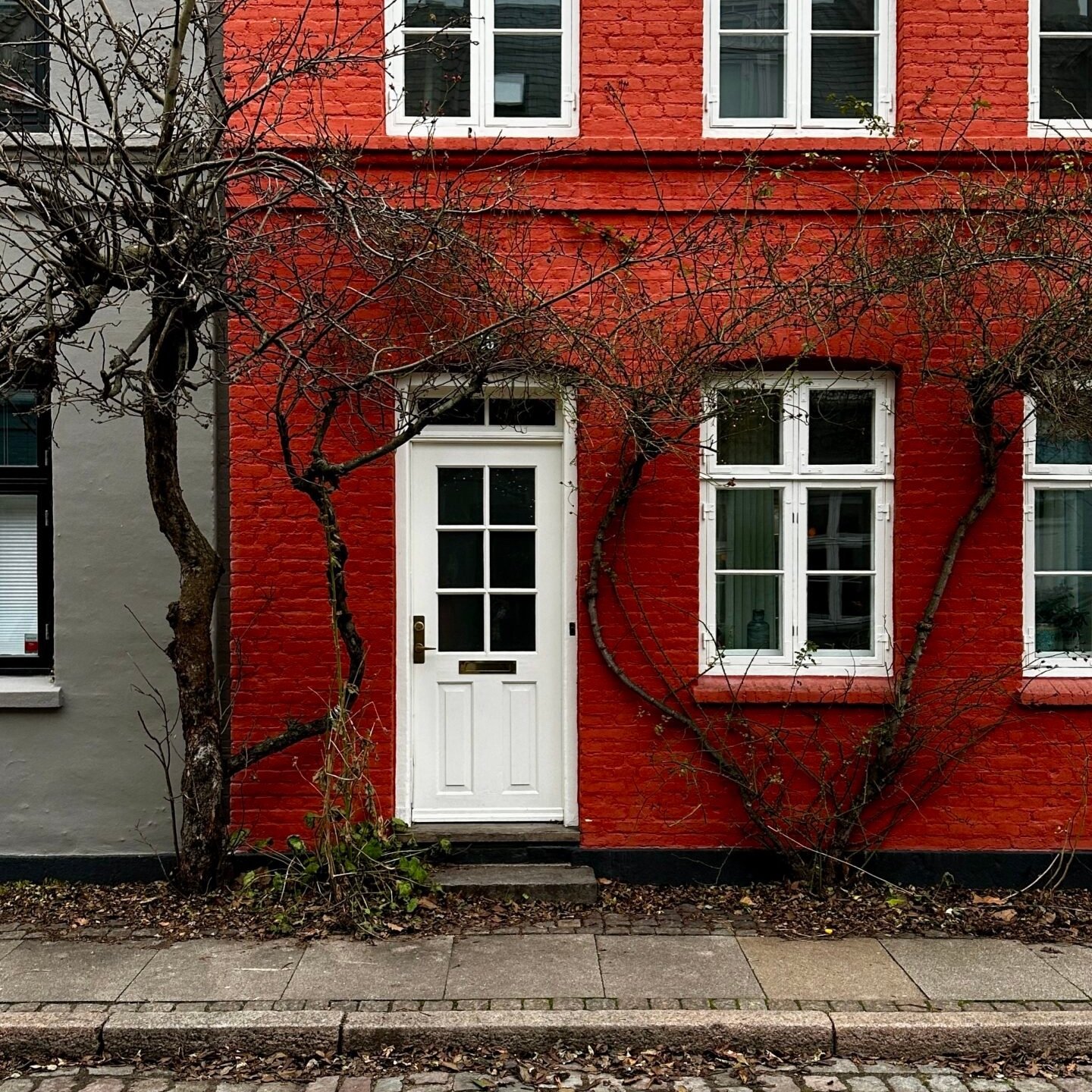 Kopenhag’da pastel renkli evler, Danimarka