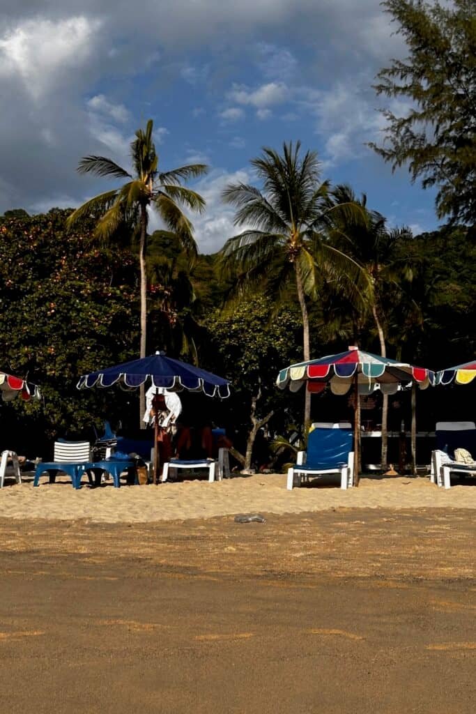 Phuket’te palmiye ağaçları önünde renkli şemsiyeler ve şezlonglarla tropik plaj manzarası.