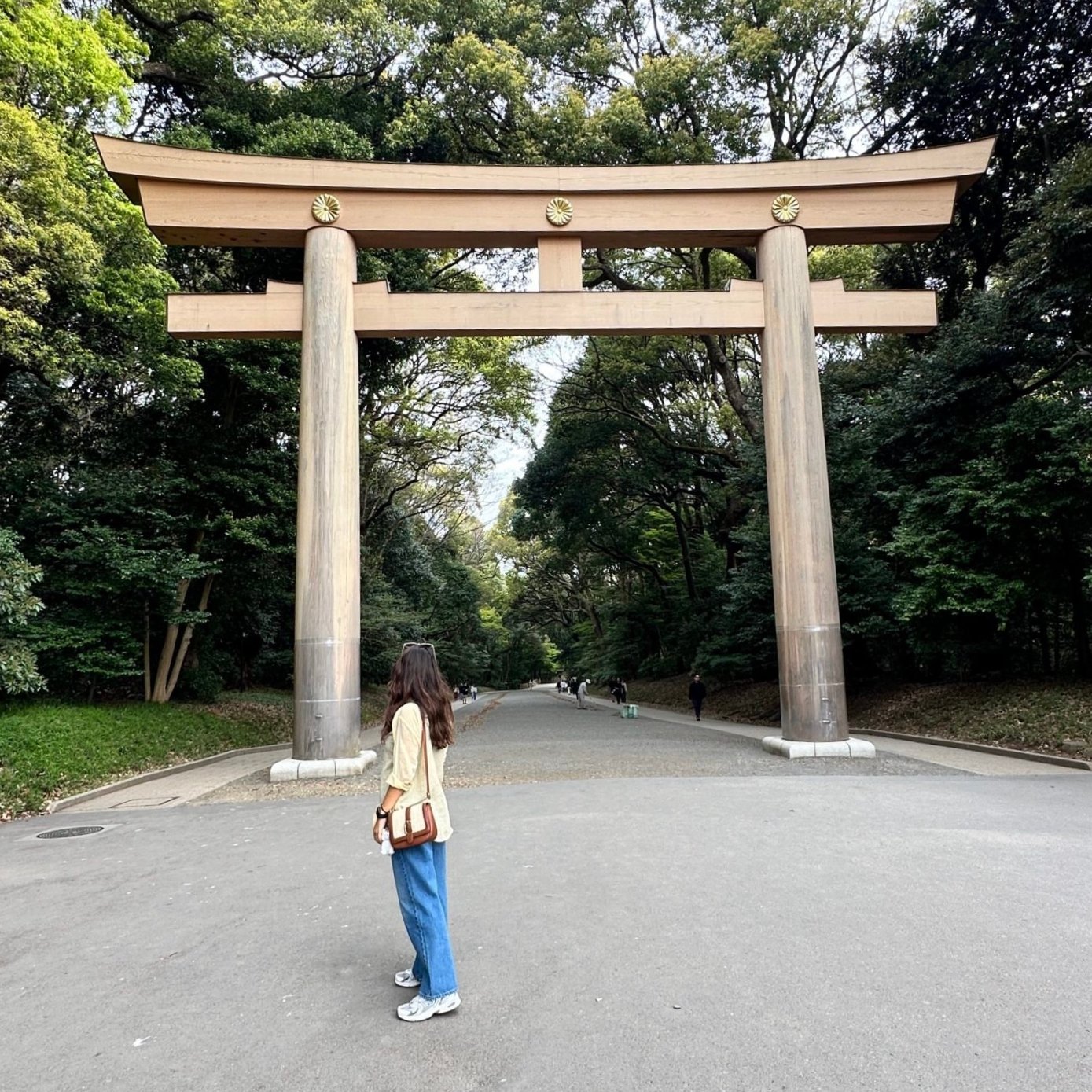 Tokyo Harajuku’daki Meiji Jingu girişinde büyük torii kapısı ve orman yolu.
