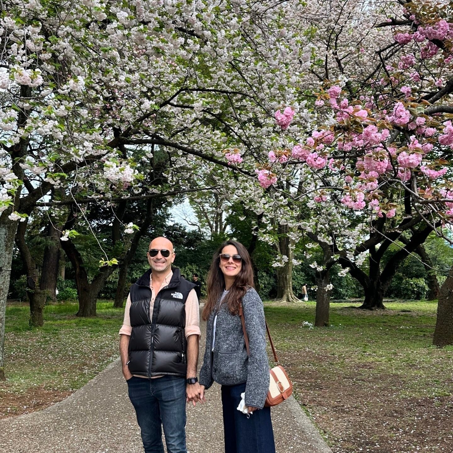tokyo-shinjuku-gyoen-national-garden-sakura-zamani