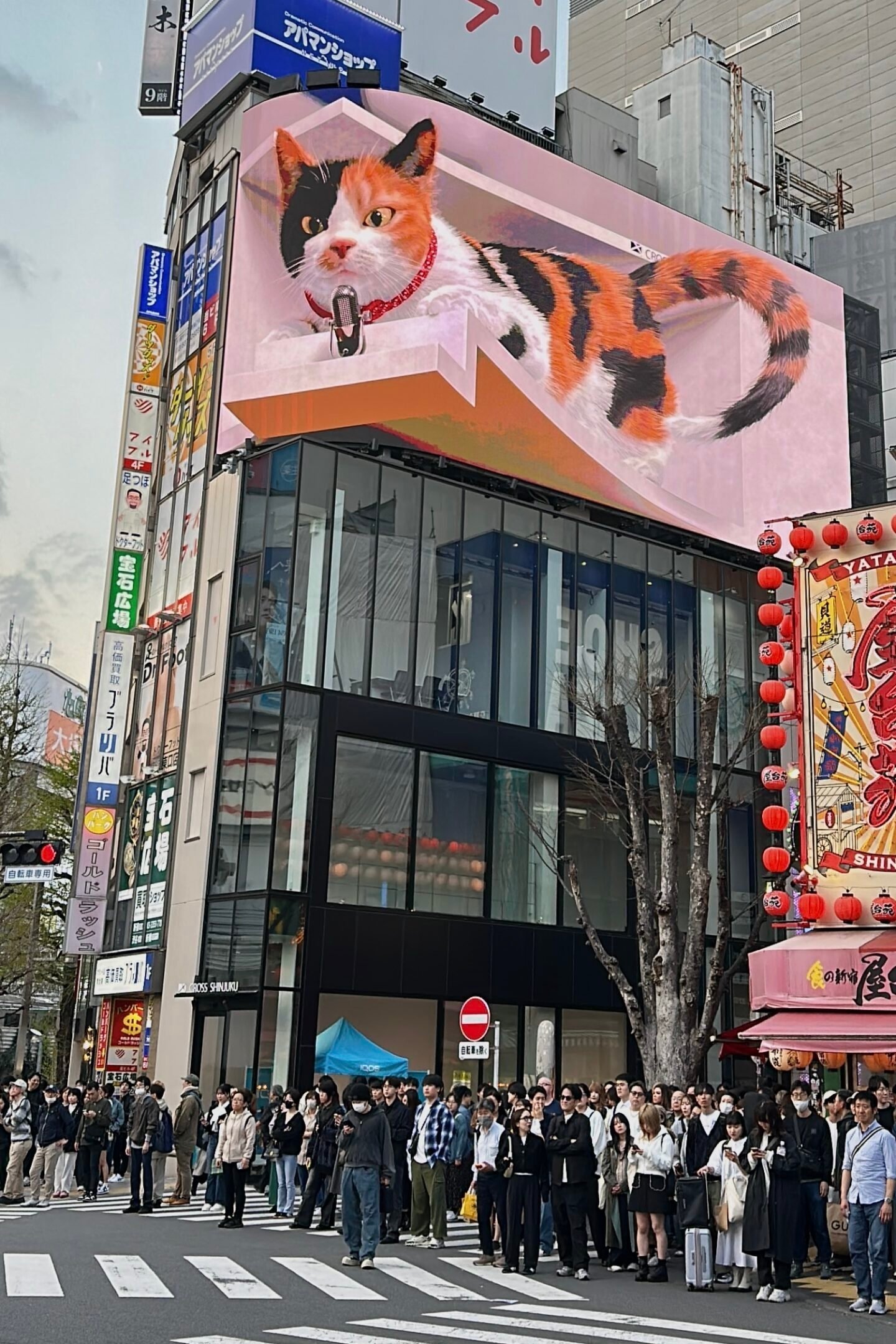 Tokyo Shinjuku Kabukicho’da neon tabelalar ve üç boyutlu ekran