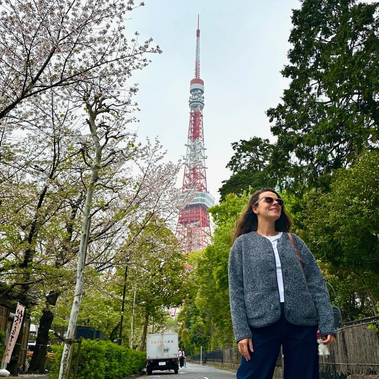 Tokyo Tower çevresinde şehir içi yürüyüş rotası ve bahar manzarası,Japonya