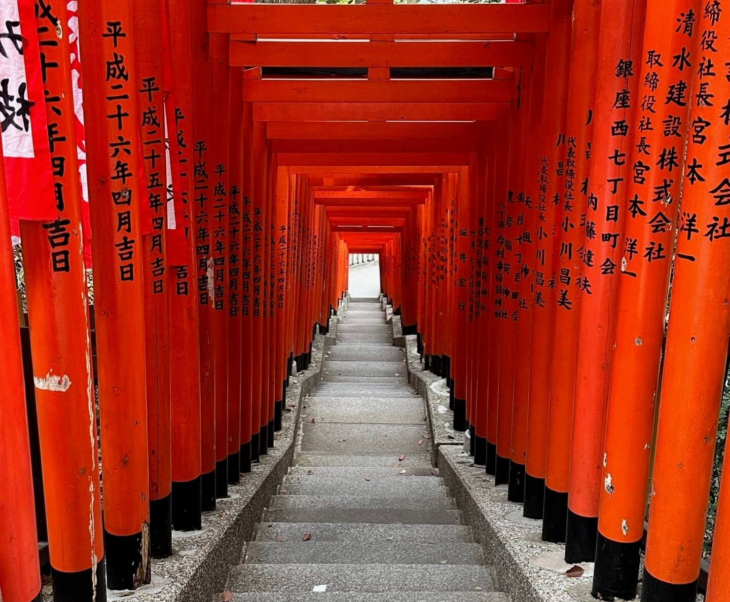 Tokyo kırmızı torii kapıları, Japonya