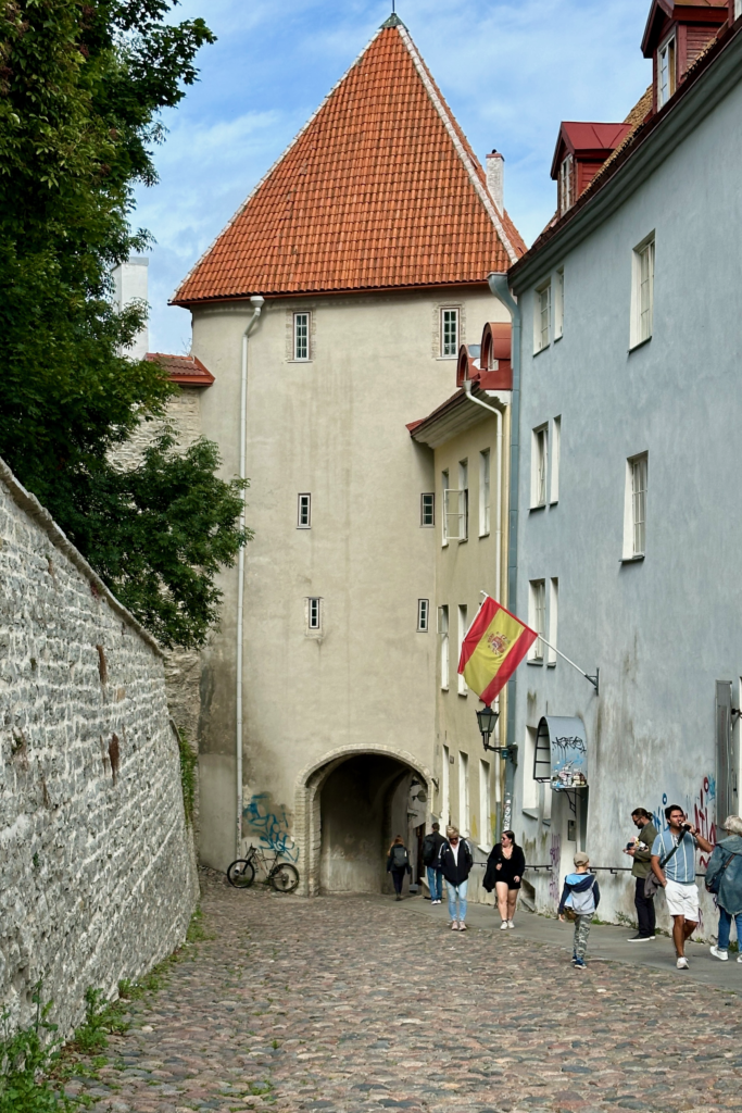 Tallinn Eski Sehir’de yokuslu tas sokak ve sur kapisi, tarihi gecit manzarasi.