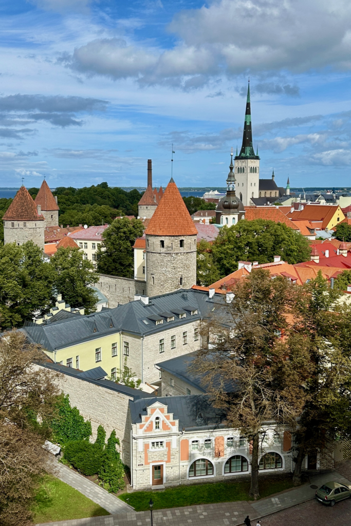 Tallinn Eski Sehir kohtuotsa seyir terasindan sur kuleleri, kirmizi catilar ve kilise kuleleriyle panoramik manzara.