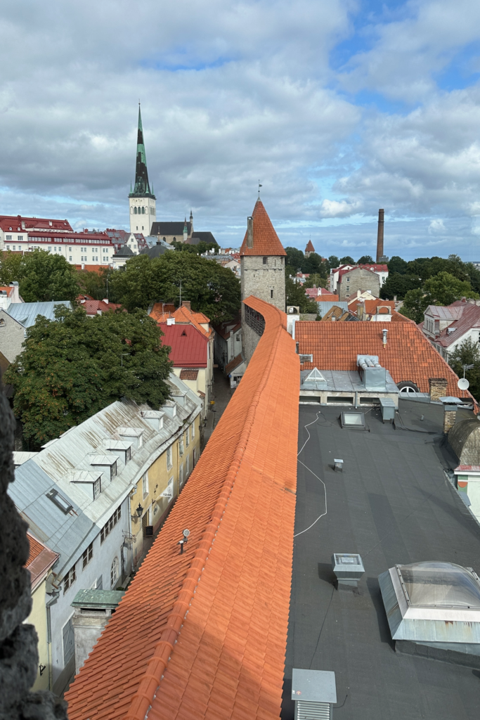 Tallinn sehir surlarindan Eski Sehir manzarasi, kirmizi catilar ve St. Olaf Kilisesi kulesi