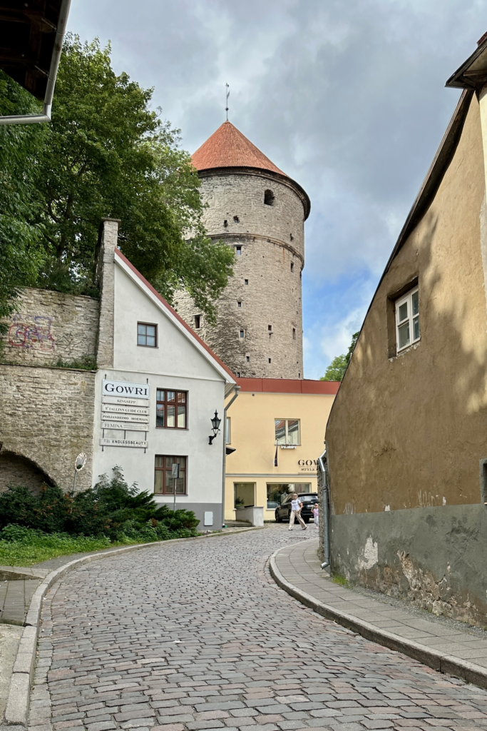 Tallinn Eski Sehir surlari cevresinde tas kule ve tarihi sokak.